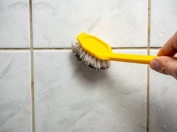 Best Residential Mold Remediation in Muscoy, CA